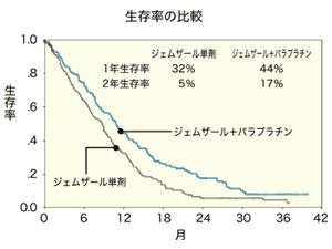 図：ジェムザール単剤とジェムザール＋パラプラチンの併用療法を実施した場合の生存率の比較