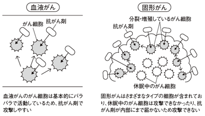 血液がんと固形がんの効き目の違い