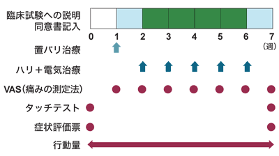 図:臨床試験のプロトコール(実施計画)