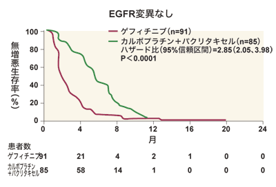 図5-2 EGFR変異なし