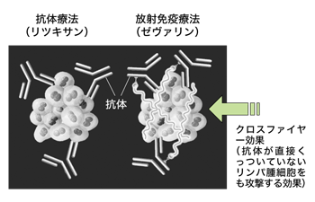 図:ゼヴァリンによる放射免疫療法