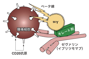 図:ゼヴァリンによる抗腫瘍効果