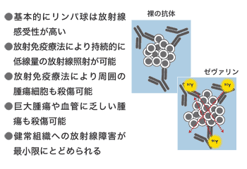 図3 非ホジキンリンパ腫に対する放射免疫療法（RIT）の特長