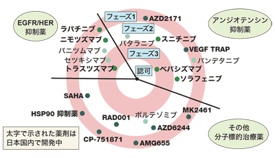 図:胃がんに対する分子標的治療薬の世界的な開発状況