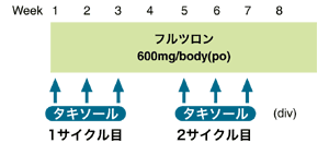 図：フルツロンとタキソールの併用療法