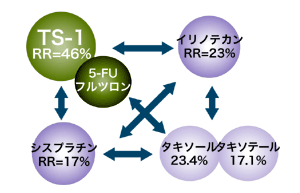 図：抗がん剤の組み合わせ