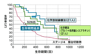 図:生存期間の比較