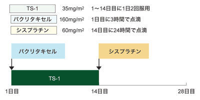 図：3剤の投与量と投与時期
