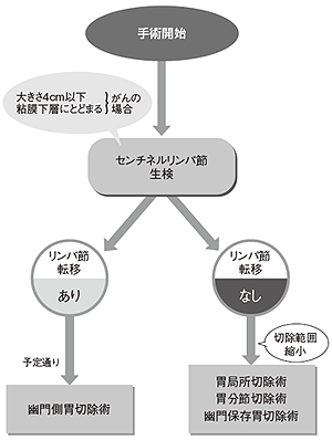 図6 センチネルリンパ節生検を活用した切除範囲縮小の可能性