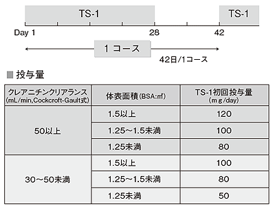 図7 TS-1治療スケジュールと投与量