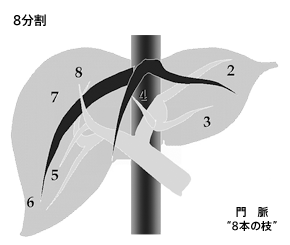 8分割