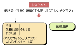 甲状腺がんの治療ガイドライン（未分化がん）