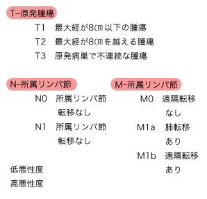 悪性骨腫瘍のTNM分類（第6版、2002年）