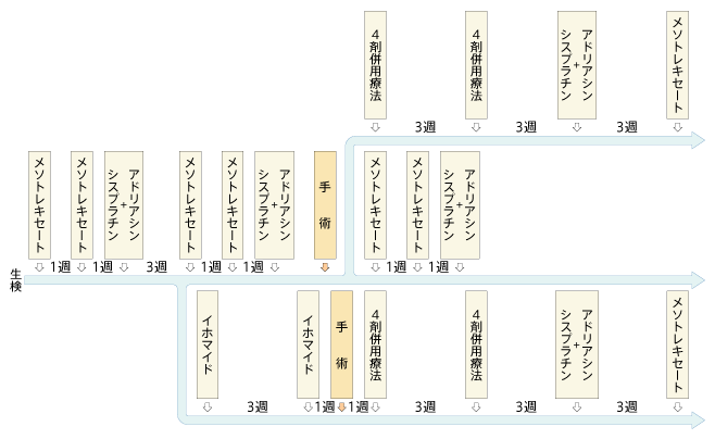 骨肉腫に対する抗がん剤治療の投与スケジュール