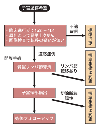 図:治療の流れ