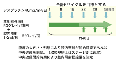 図：放射線化学療法の治療手順