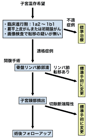 図：実際の治療の流れ
