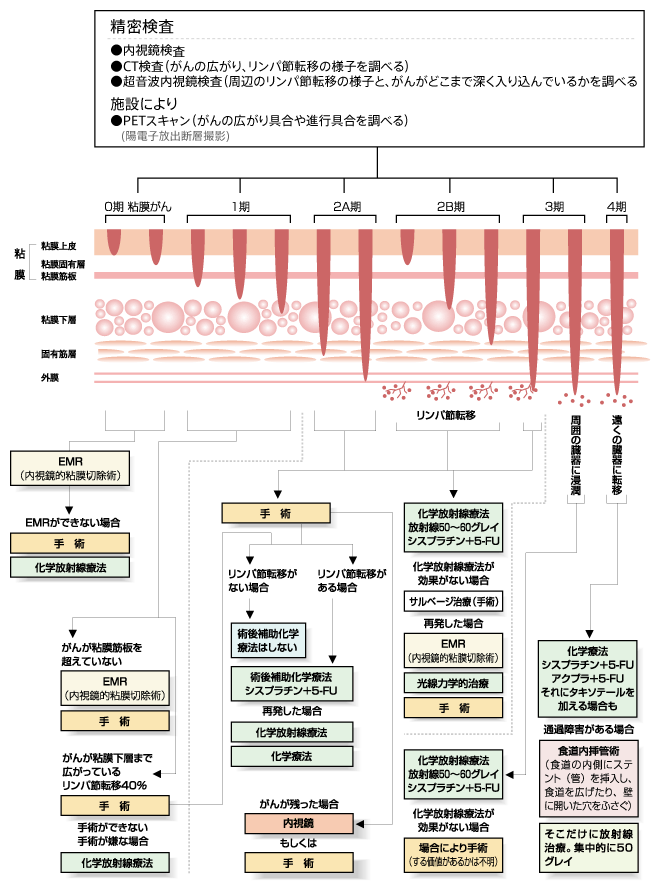 患者のための治療ガイドライン