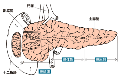 図:膵臓の仕組み