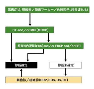 図：膵がん診断のアルゴリズム