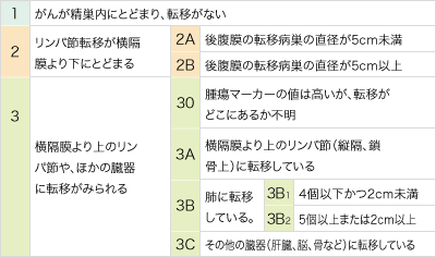 精巣がんの病期（ステージ）分類