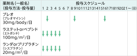 BEP療法の投与スケジュール