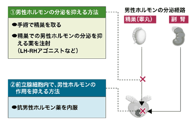 図:ホルモン療法の方法