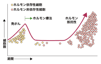 図:ホルモン療法が効かなくなる理由