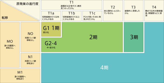 前立腺がんの病期分類