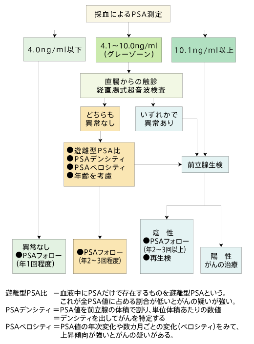 前立腺がんの診断