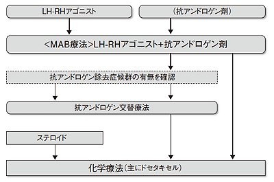 図3 前立腺がんに対する薬物療法の一般的な治療指針（日本）