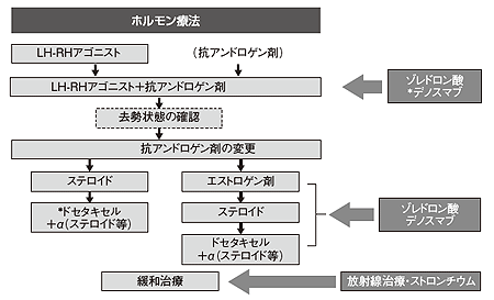 図7 前立腺がんに対する治療の流れ