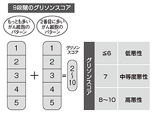 図4 グリソンスコア