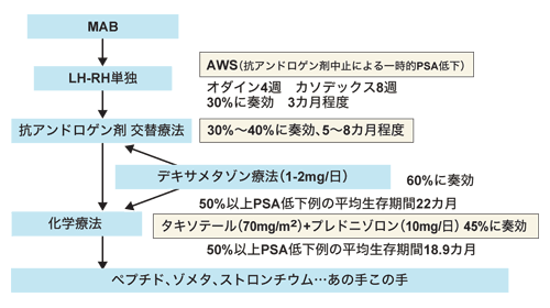 図：奈良医大関連施設における前立腺がん治療指診（転移がある症例）