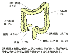 図1大腸の構造と部位別がんの発生率