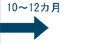 10～12ヵ月