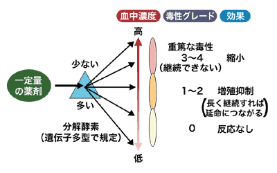 図：毒性グレード1～2を目指す理由
