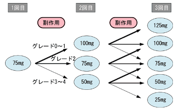 図：イリノテカンの投与量の段階