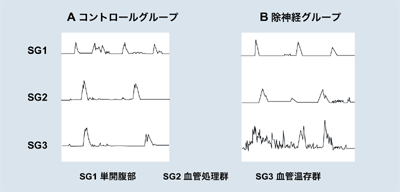 図：ラットの腸管運動モニタリング