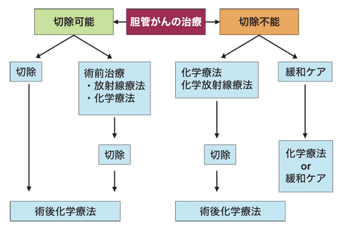 図:胆管がんの治療方針