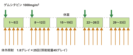 図:術前化学放射線療法のスケジュール