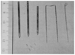 写真:小線源治療に使用される3種類の線源
