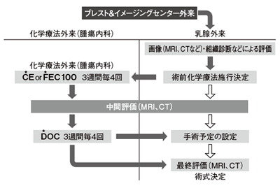 図6 術前化学療法の流れ