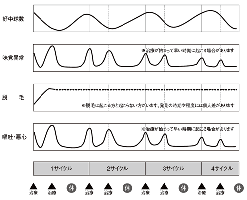 図5 エリブリンの主な副作用が現れる時期と流れ