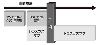 トラスツズマブを含む術前療法のスケジュール