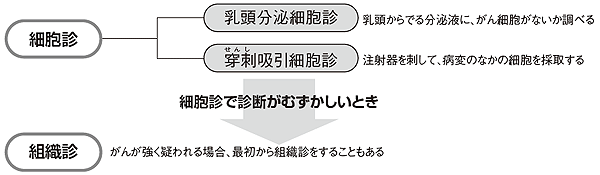 細胞診、組織診ってなにをするの