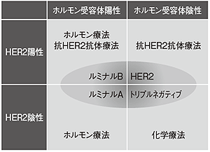 図7 乳がんの4つのタイプと治療法