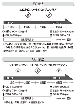 図4 標準的な薬物療法の投与スケジュール例