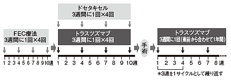 図7 術前化学療法での治療スケジュールの1例