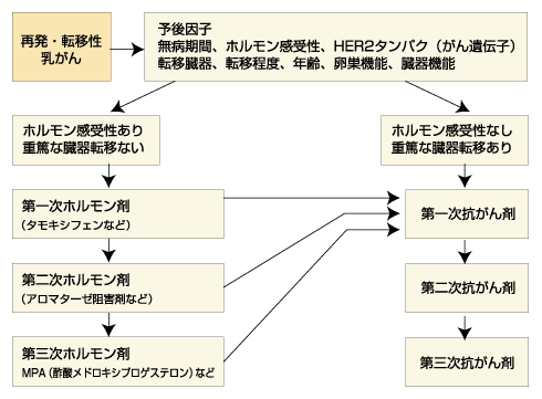 転移性乳がんの標準治療
